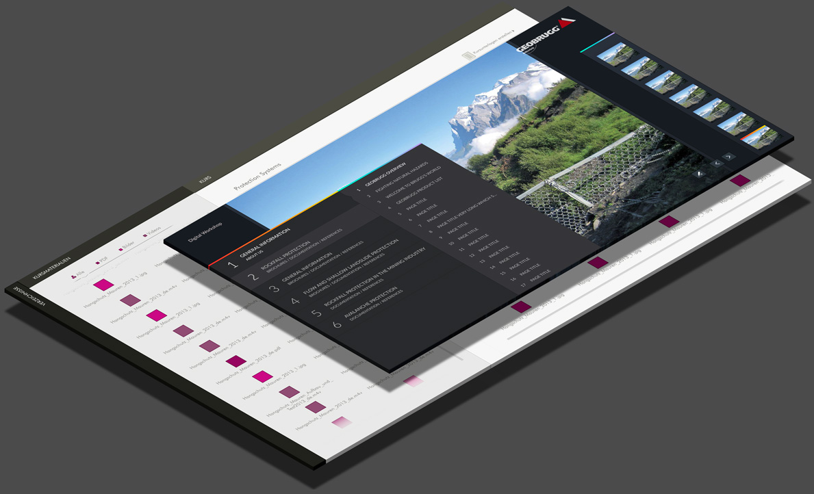 Digitale Workshop-Plattform für die geobrugg AG